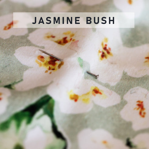 Jasmīni